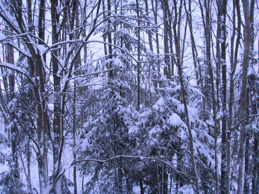 39044 (a): :1600x1200